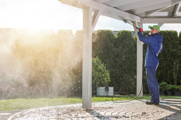 Boat and Dock Cleaning in Meadow Glade, WA