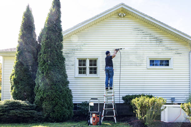 Trusted Meadow Glade, WA Pressure Washing Services Experts